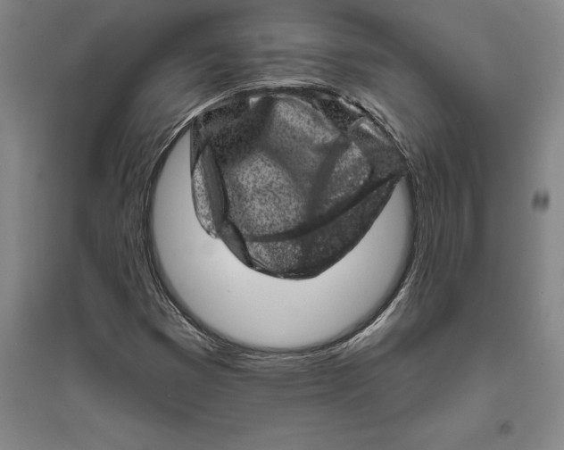 X0000094071353200711161538