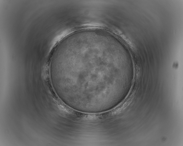 X0000094071357200711161538