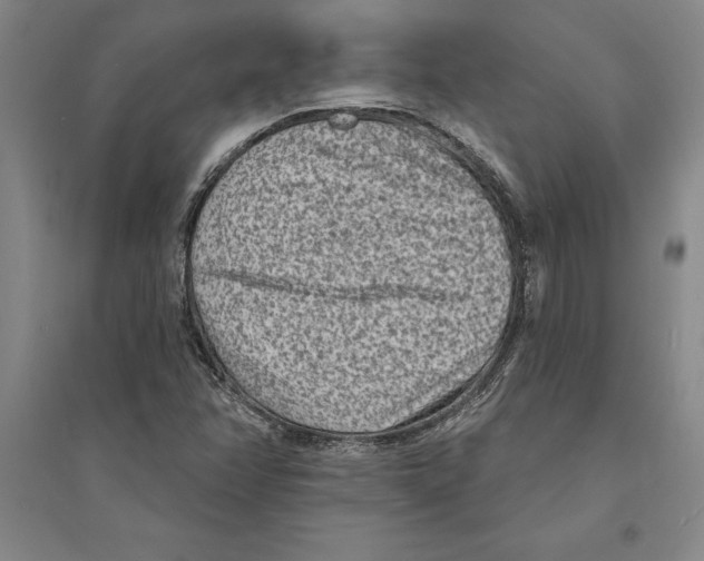 X0000094071358200711161538