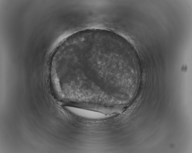 X0000094071359200711161538