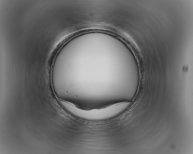 X0000094071360200711161538