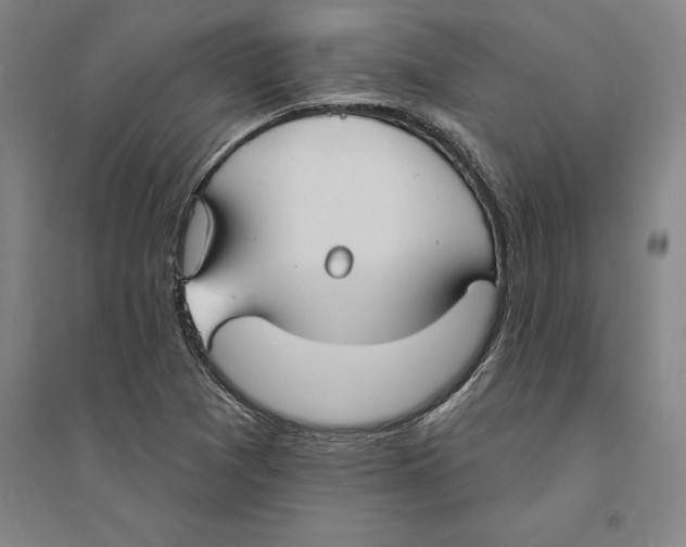 X0000094071361200711161538