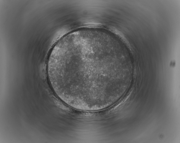 X0000094071362200711161538
