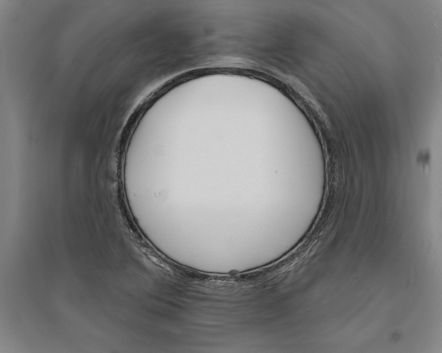 X0000094071364200711161538