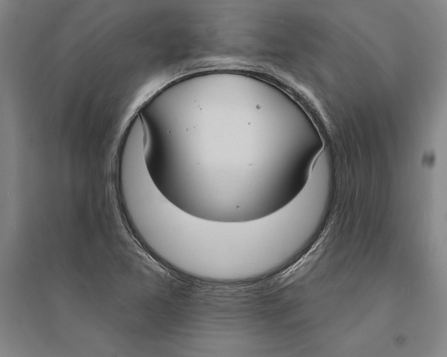 X0000094071365200711161538