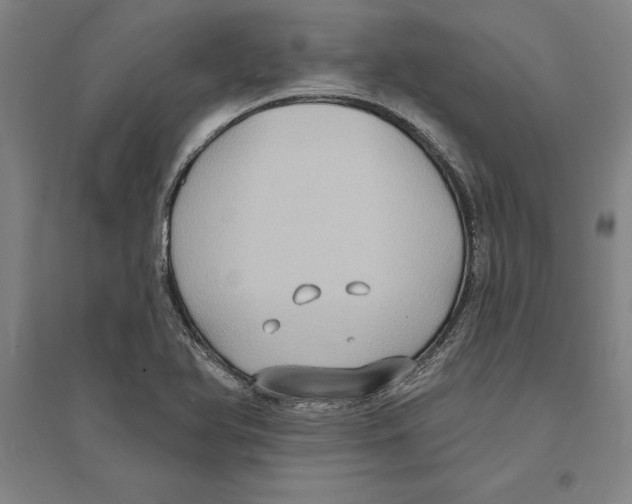 X0000094071366200711161538