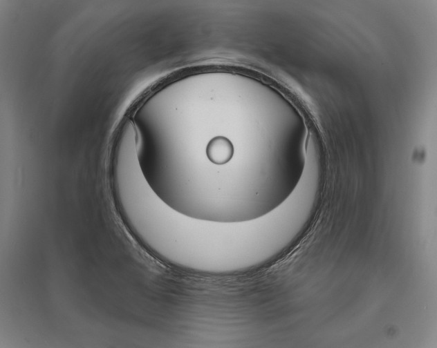 X0000094071368200711161538