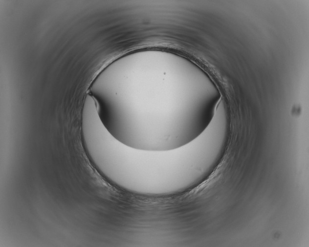 X0000094071369200711161538