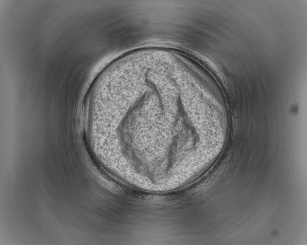 X0000094071371200711161538