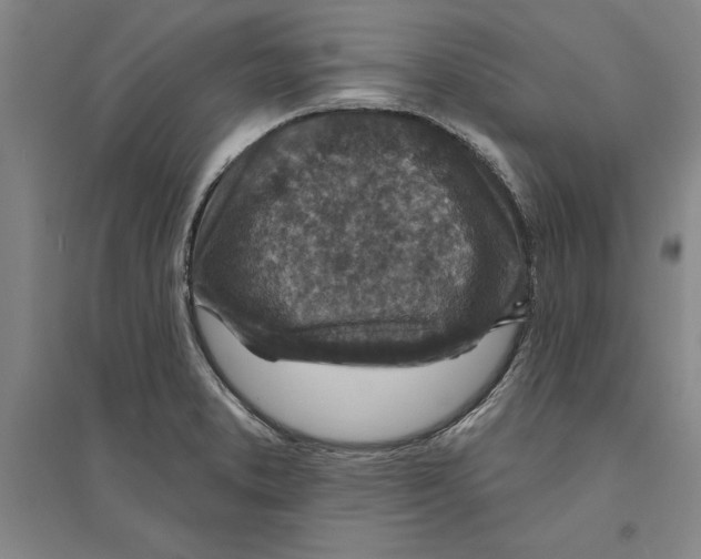 X0000094071373200711161538