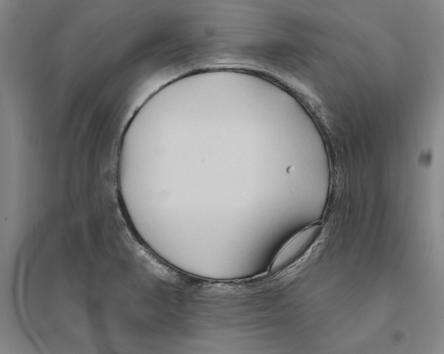 X0000094071374200711161538