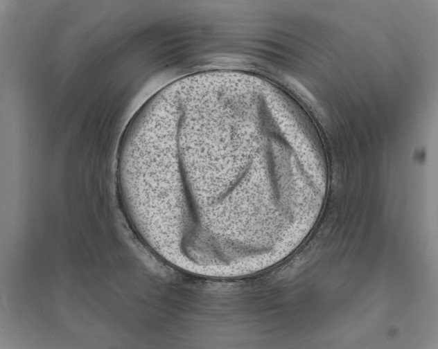 X0000094071378200711161537