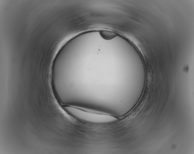 X0000094071379200711161537