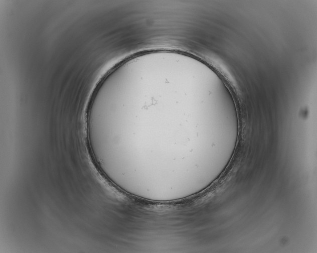 X0000094071380200711161537