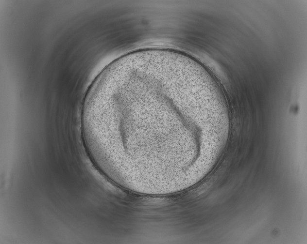 X0000094071382200711161537