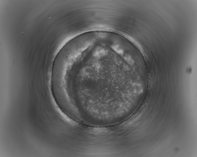 X0000094071383200711161537