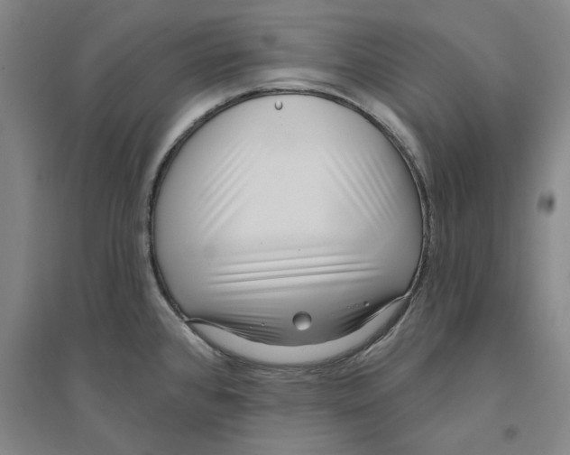 X0000094071384200711161537