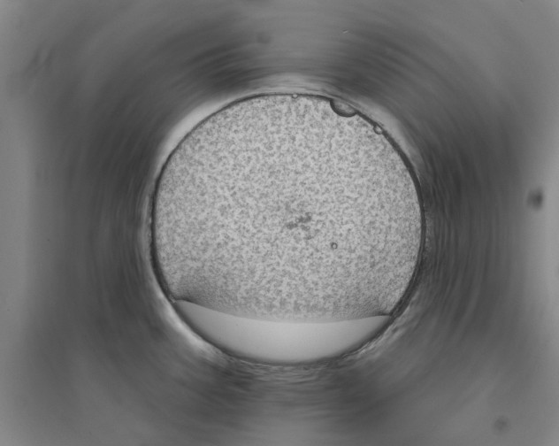 X0000094071387200711161537