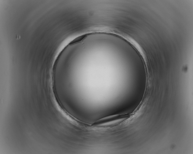 X0000094071389200711161537