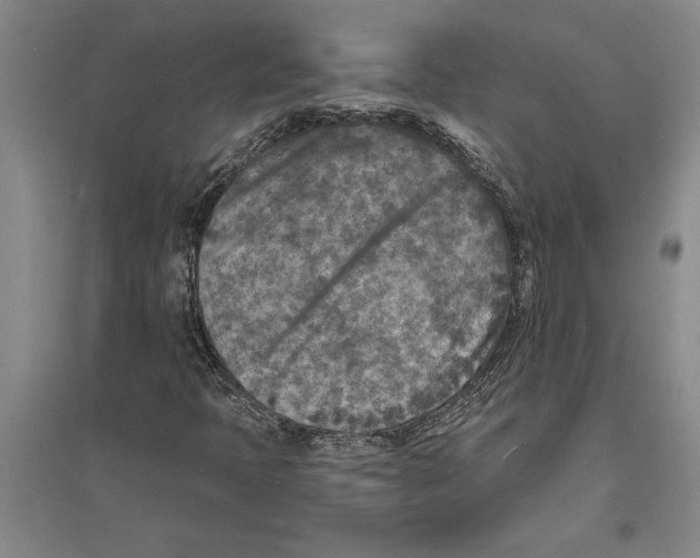 X0000094071397200711161537