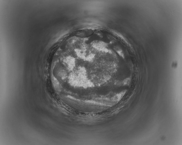X0000094071399200711161537