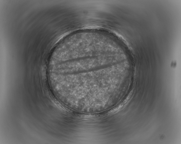 X0000094071401200711161537