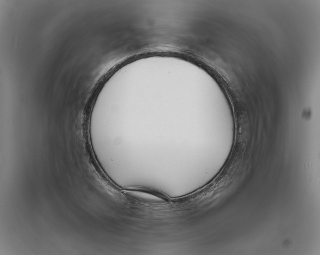X0000094071404200711161537