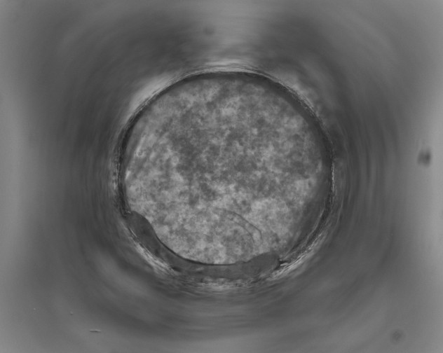 X0000094071405200711161537