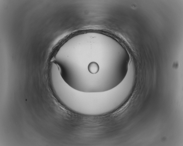 X0000094071406200711161537