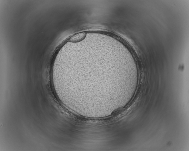 X0000094071407200711161537