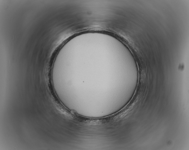 X0000094071410200711161537