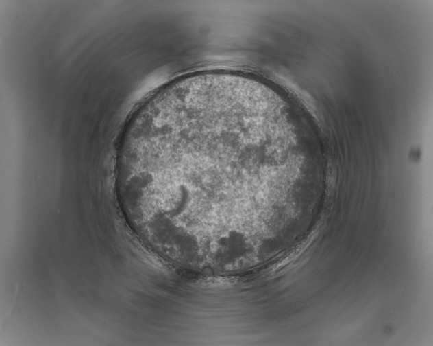 X0000094071411200711161537