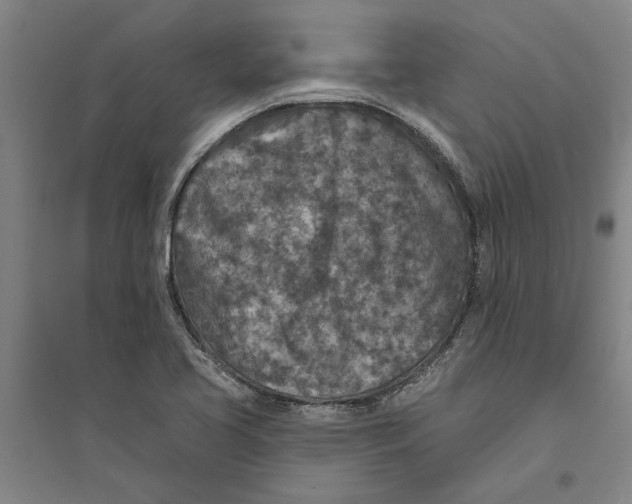 X0000094071413200711161537