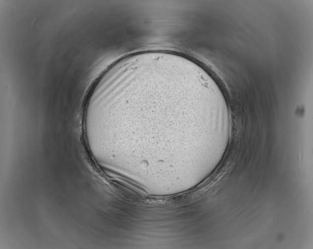 X0000094071415200711161537