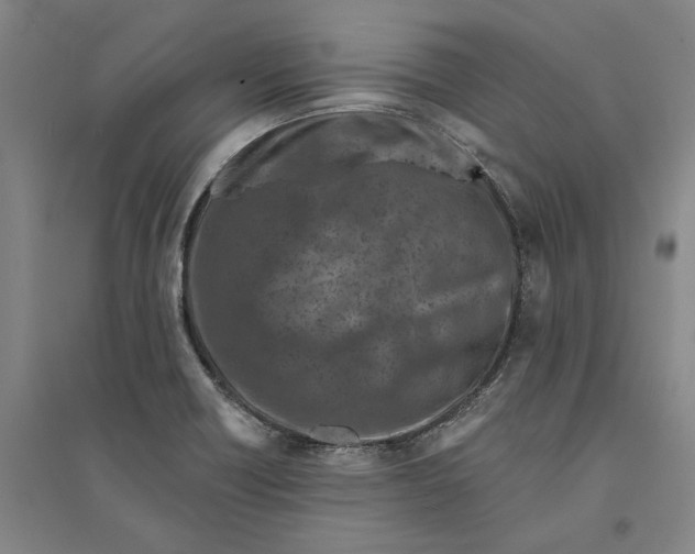 X0000094071418200711161537