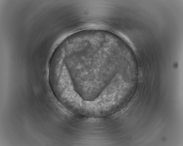 X0000094071419200711161537