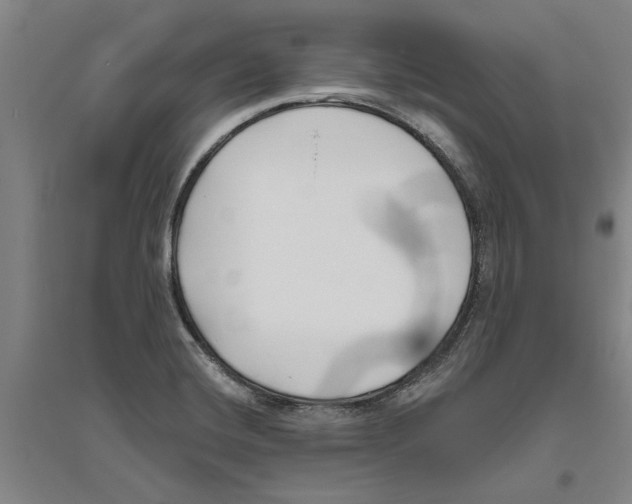 X0000094071420200711161537