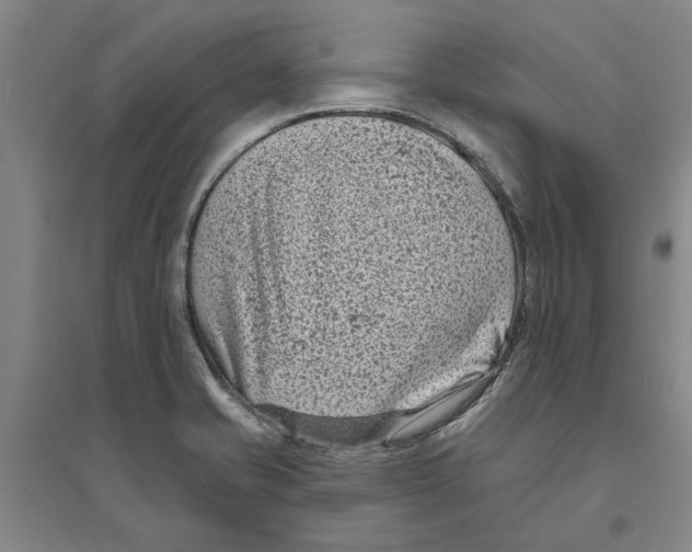 X0000094071421200711161537