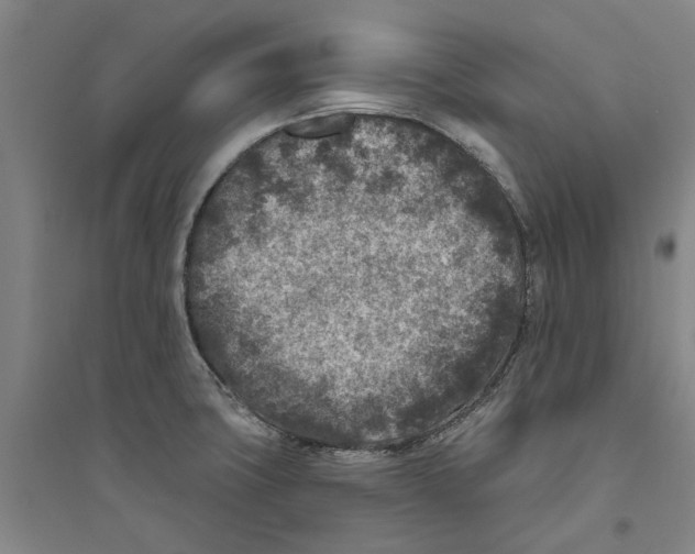 X0000094071427200711161537