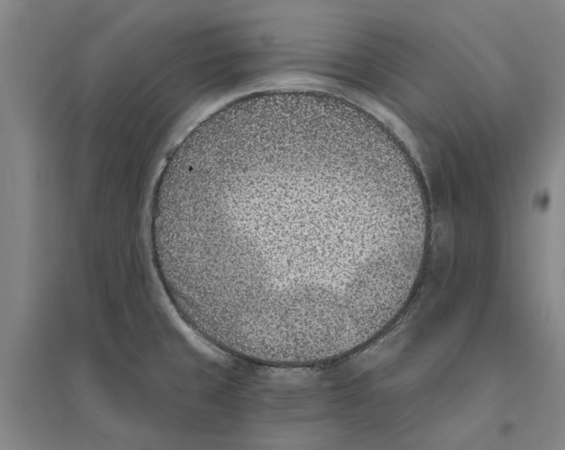 X0000094071429200711161537