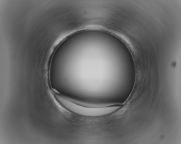 X0000094071430200711161537