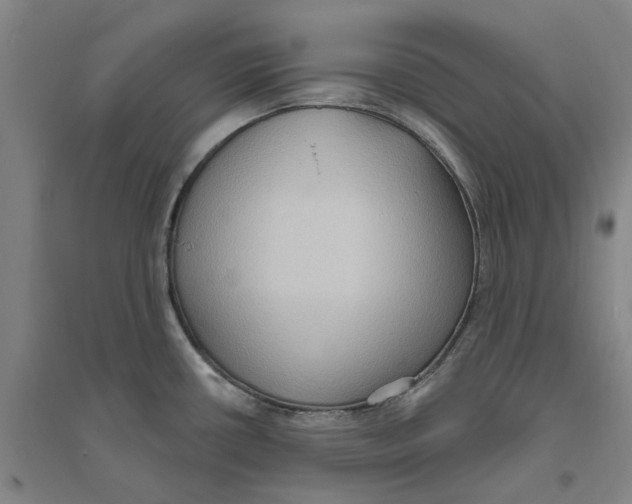 X0000094071434200711161537