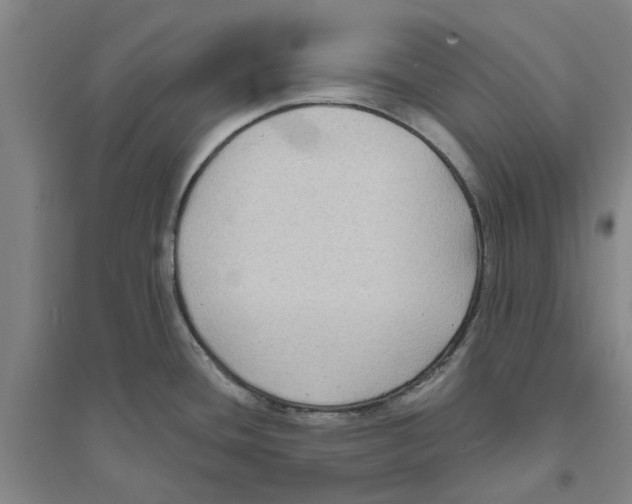 X0000094071436200711161537