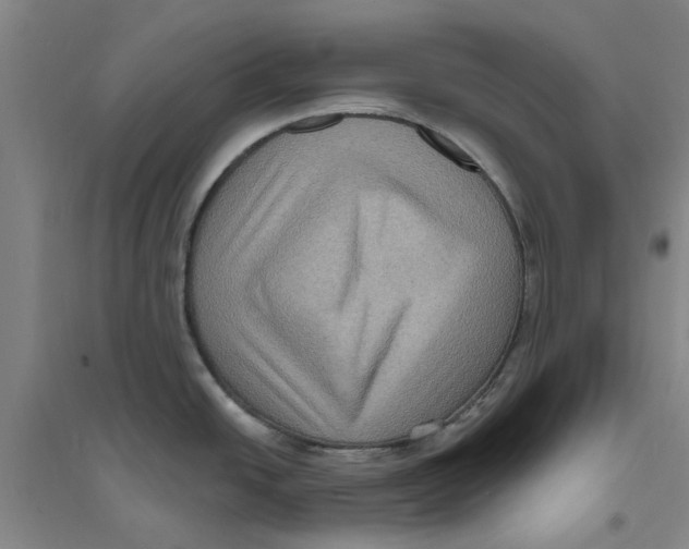 X0000094071438200711161537