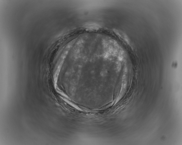 X0000094071445200711161537