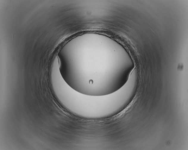 X0000094071449200711161536