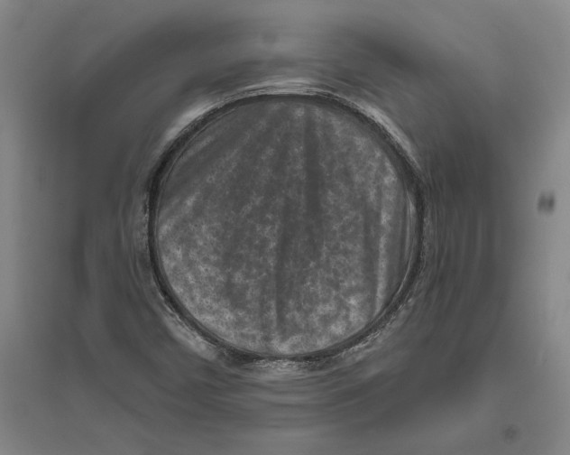X0000094071450200711161536