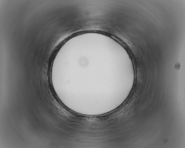X0000094071452200711161536
