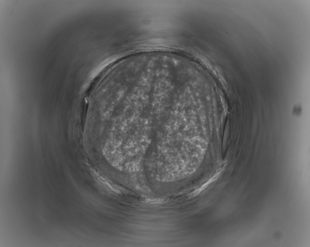 X0000094071453200711161536