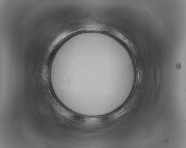 X0000094071454200711161536